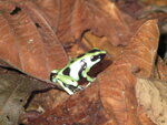 pic_10795.jpg