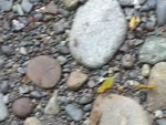 mov_0227.mov