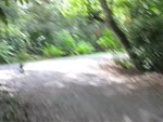 mov_0295.mov
