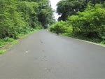 mov_0296.mov