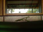 pic_10822.jpg