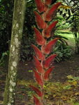 pic_10823.jpg