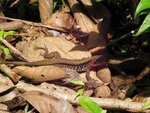 pic_10832.jpg