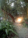 pic_10839.jpg