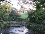 pic_10844.jpg