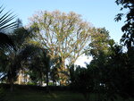 pic_10845.jpg