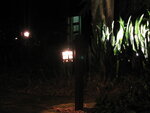 pic_10876.jpg