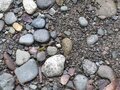 pic_10894.jpg