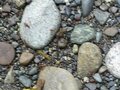 pic_10895.jpg