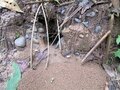 pic_10896.jpg