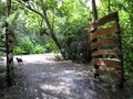 pic_10898.jpg