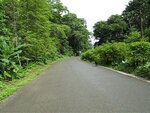 pic_10899.jpg