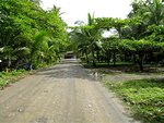 pic_10900.jpg