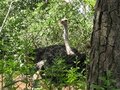 pic_10902.jpg
