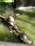 pic_10928.jpg