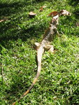 pic_10940.jpg