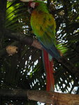 pic_10959.jpg