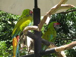 Zoo