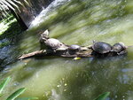 pic_10968.jpg