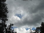 pic_11342.jpg