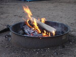 pic_11350.jpg