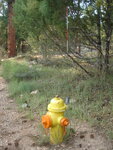pic_11402.jpg