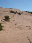 pic_11520.jpg