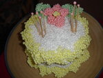pic_03695.jpg