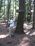 pic_03707.jpg