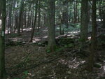 pic_03709.jpg