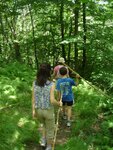 Berkshires
