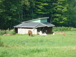 pic_03736.jpg
