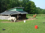 pic_03737.jpg