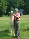 pic_03744.jpg