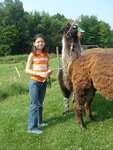 pic_03746.jpg