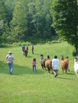 pic_03748.jpg