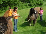 pic_03749.jpg