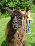 pic_03750.jpg