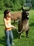 pic_03754.jpg