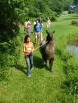 pic_03755.jpg