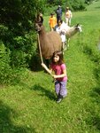 pic_03756.jpg