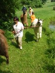 pic_03757.jpg