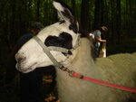 pic_03759.jpg