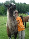 pic_03763.jpg