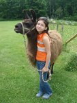 pic_03764.jpg
