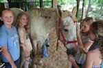 pic_03791.jpg