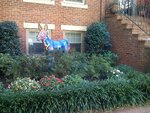 pic_03831.jpg