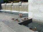 pic_03863.jpg