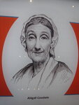 pic_03894.jpg