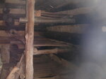 pic_03917.jpg